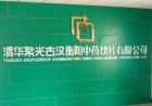 紫光古汉衡阳饮源制药有限公司