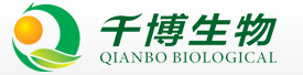 千博 千博