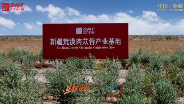 爱心满丝路 情定麦盖提